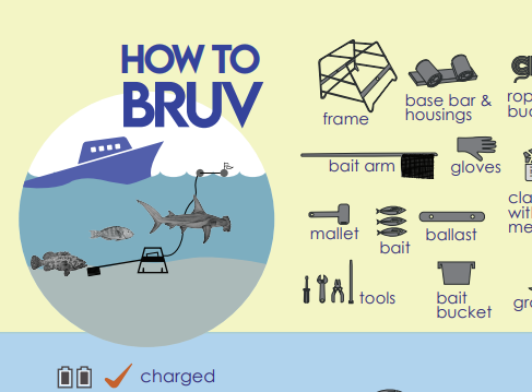 How to BRUV Infographic